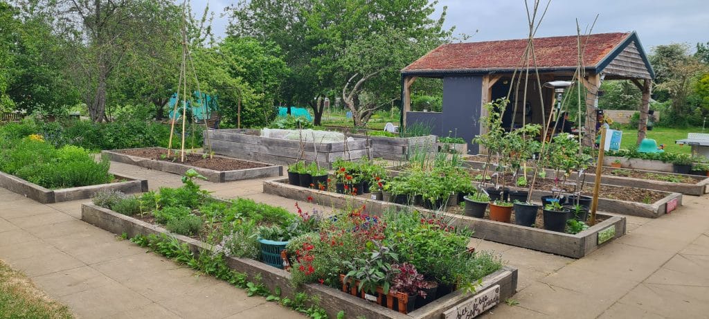 The Green Patch