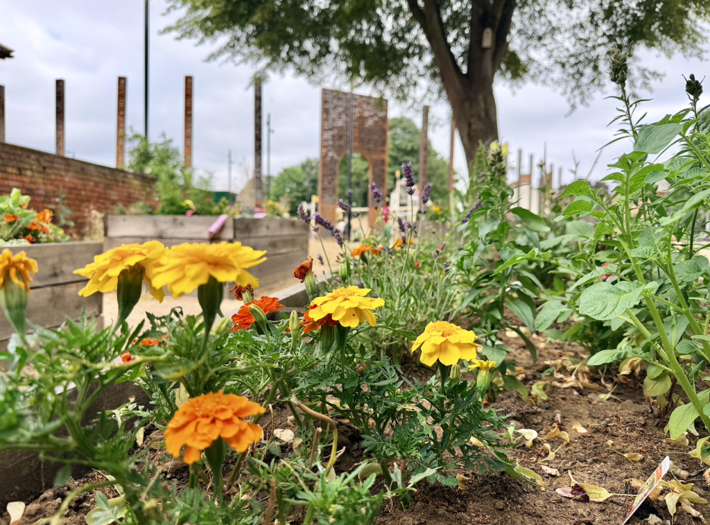 Castle Park planter